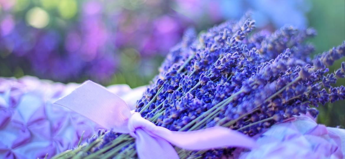 lavender-2482374_1920